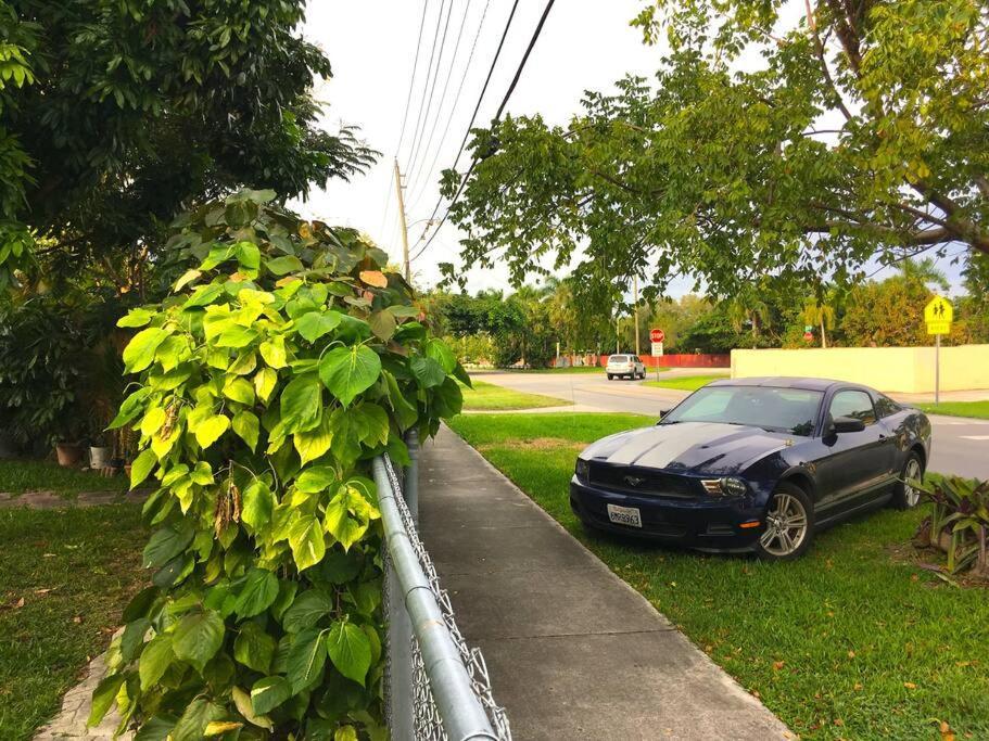 Miami Bungalow Oasis Near Everglades & The Keys Cutler Bay Esterno foto