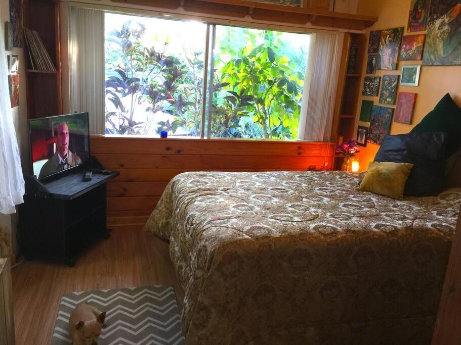 Miami Bungalow Oasis Near Everglades & The Keys Cutler Bay Esterno foto